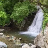 تور  در بند