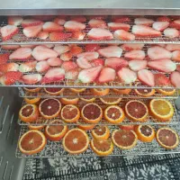 به یک نیروی خانم جهت کار در سبزی خوردکنی