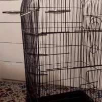 قفس بزرگ پرندگان عروس هلندی کاسکو ۱۰۳۴|لوازم جانبی حیوانات|تهران, هفده شهریور|دیوار