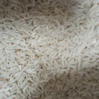 برنج هاشمی سرتینگ زده درج یک