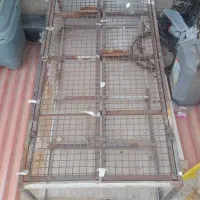 گنجه .لونه کفتر