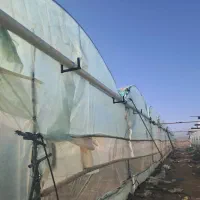 درخواست شاگرد