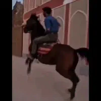 مادیون خاطره