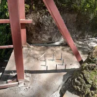 کاشت میلگرد