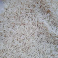 برنج هاشمی دره رود