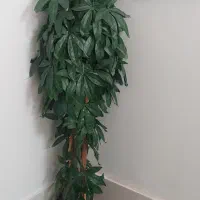 گلدان بزرگ مناسب برای پذیرایی پله ها شرکت ها اداره