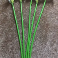 گلدان ـ شاخه گل