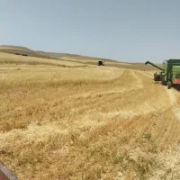 فروش زمین کشاورزی دیمی واقع در روستای پشت دربند