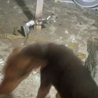 سلام. خرمشهر