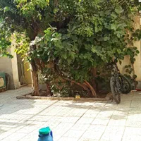بزرگمهر/گلزار/همخونه موجه فقط آقا/غیث|اجارهٔ خانه و ویلا|اصفهان, گلزار|دیوار