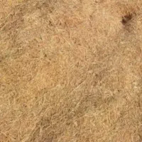 کاه سفید گندم