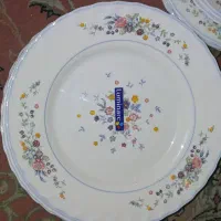 ظروف آرکوپال ویکتوریا فرانسه