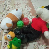 اسباب بازی نو|اسباببازی|گلبهار, شهر جدید گلبهار|دیوار