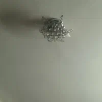 لوستر سقفی|لوستر و چراغ آویز|مشهد, نکاح|دیوار