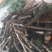 خرید چوب ودرخت