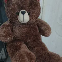 خرس عروسکی|اسباببازی|شیراز, حجت آباد|دیوار