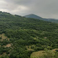 تورسیاحتی وگردشگری