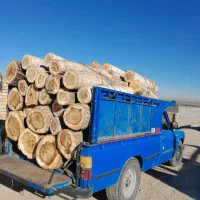 خرید چوب  ودرخت