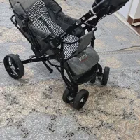 کالسکه دلیجان بدون سایه بون