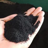 پودر آسیاب شده طیوب و شال