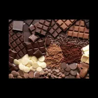 استخدام نیروی کار خانم و آقا