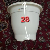 گلدان پلاسنیکی