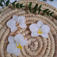 انواع شمع و گیفت|صنایع دستی و سایر لوازم تزئینی|شهریار, شهریار|دیوار