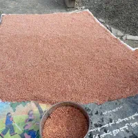 سنگریزه گلبهی روشن، ظریف و یکنواخت