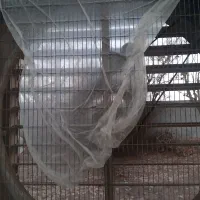 لوازم پرنده