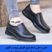 کفش cz اسپرت چرمی|کیف، کفش، کمربند|کرج, حصارک بالا|دیوار