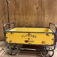 باکس گل وارداتی به طرح گاری