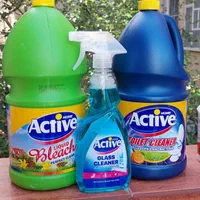 شرکت خدماتی پاکسازان یاران آریا نیرو آقا و خانم