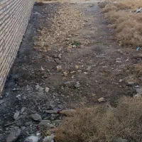 زمین-بهشتی-دو