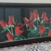 فروش تعدادی وسایل منزل|حراج|بوشهر, |دیوار