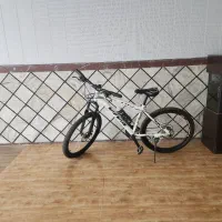 دوچرخه ویوا فروش فوری|دوچرخه، اسکیت، اسکوتر|اسالم, |دیوار