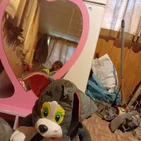 یک عدد اینه ویک عدد عروسک