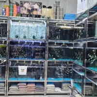 استخدام نیروی کار مغازه اکواریومی|استخدام خدمات فروشگاه و رستوران|تهران, آذربایجان|دیوار