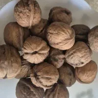 گردو و بادام