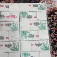 خرما خاصویی و کبکاب