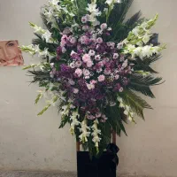 تاج گل طبیعی