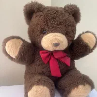 عروسک تدی|اسباب‌بازی بچه|ارومیه, |دیوار