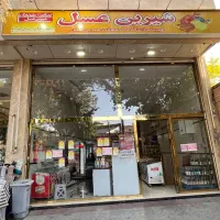 فروش ملک ابن سینا