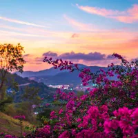 راهنمای زندگی بهتر