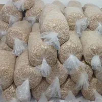 زغال تن با کو بقمچ