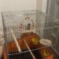 فروش یک قفس ۱۰۳۲ بزرگ با وسایل اضافی زیاد