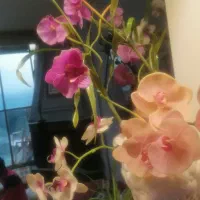 گلدان چینی وگل ارکیده