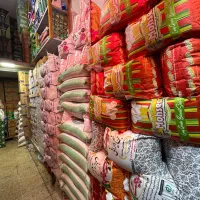 برنج هاشمی تازه|خوردنی و آشامیدنی|اهر, |دیوار