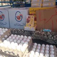 تخم‌مرغ