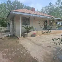 ویلا-جنگلی-سندتک-برگ