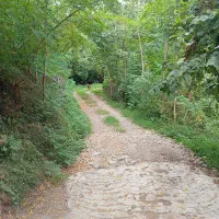 اجاره شبانه هفتگی ماهانه خونه باغ ذربست|اجارهٔ کوتاه‌مدت آپارتمان و سوئیت|تنکابن, |دیوار